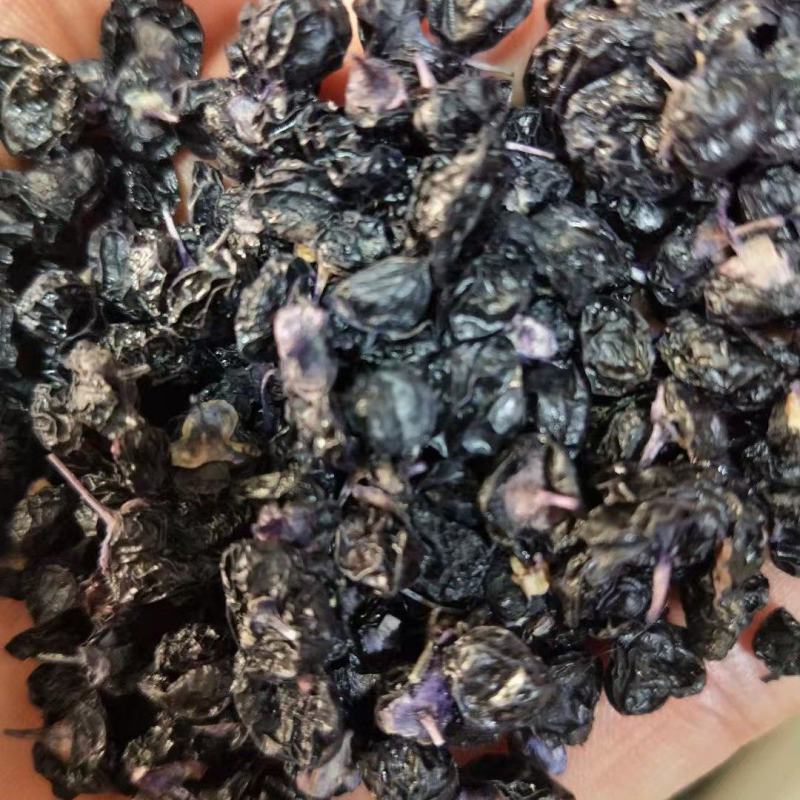 柴达木黑枸杞干货大量供应货源充足保质保量量大价优