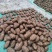 【品质保障】云南昭通天麻片量大优惠可视频看货