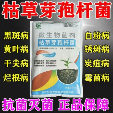 枯草芽孢菌杆菌农用微生物菌剂枯草芽孢杆菌农用益生菌肥料
