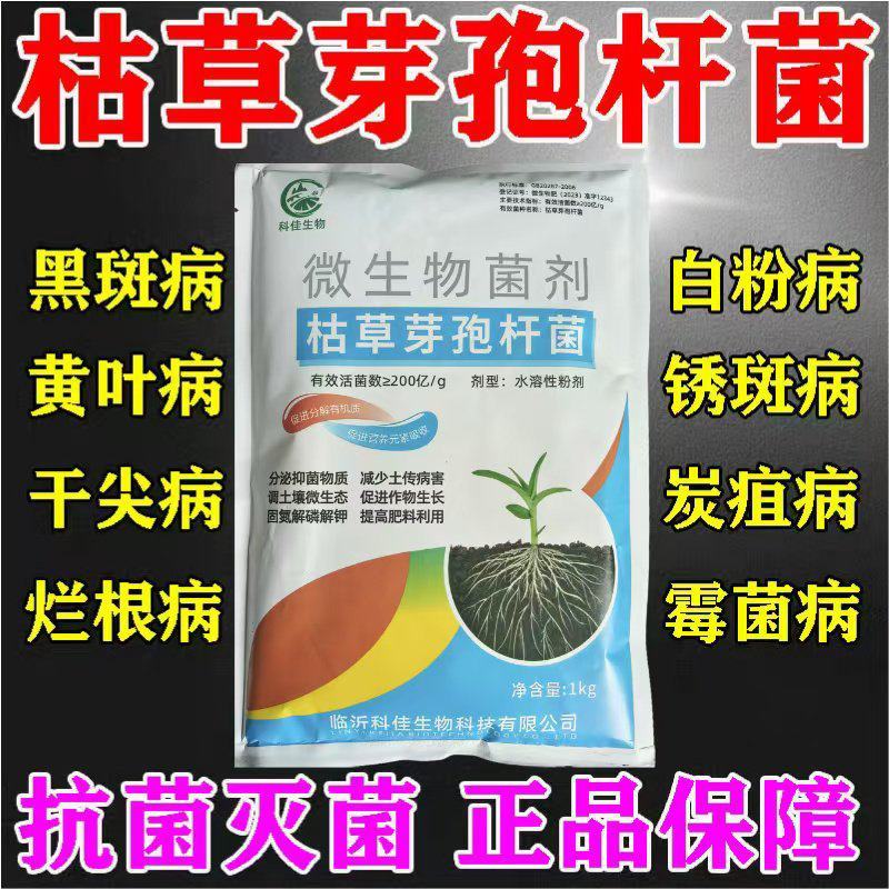 枯草芽孢菌杆菌农用微生物菌剂枯草芽孢杆菌农用益生菌肥料