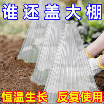 育苗保护罩透明钟罩可重复使用温室大棚免受鸟类霜冻伤害加厚保护