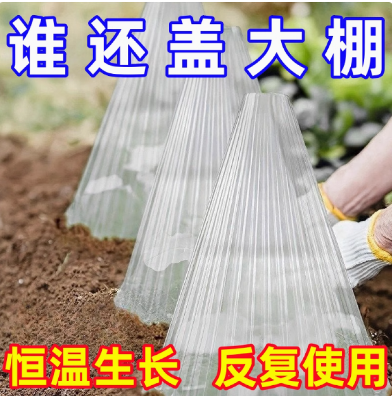 育苗保护罩透明钟罩可重复使用温室大棚免受鸟类霜冻伤害加厚保护
