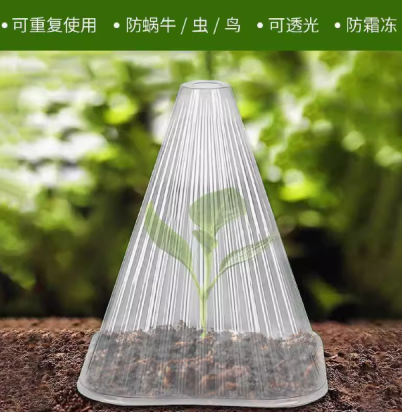 育苗保护罩透明钟罩可重复使用温室大棚免受鸟类霜冻伤害加厚保护