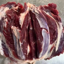 新鲜.精品纯干无水腱子肉牛肉雪花肉牛腱子前后腿精瘦肉