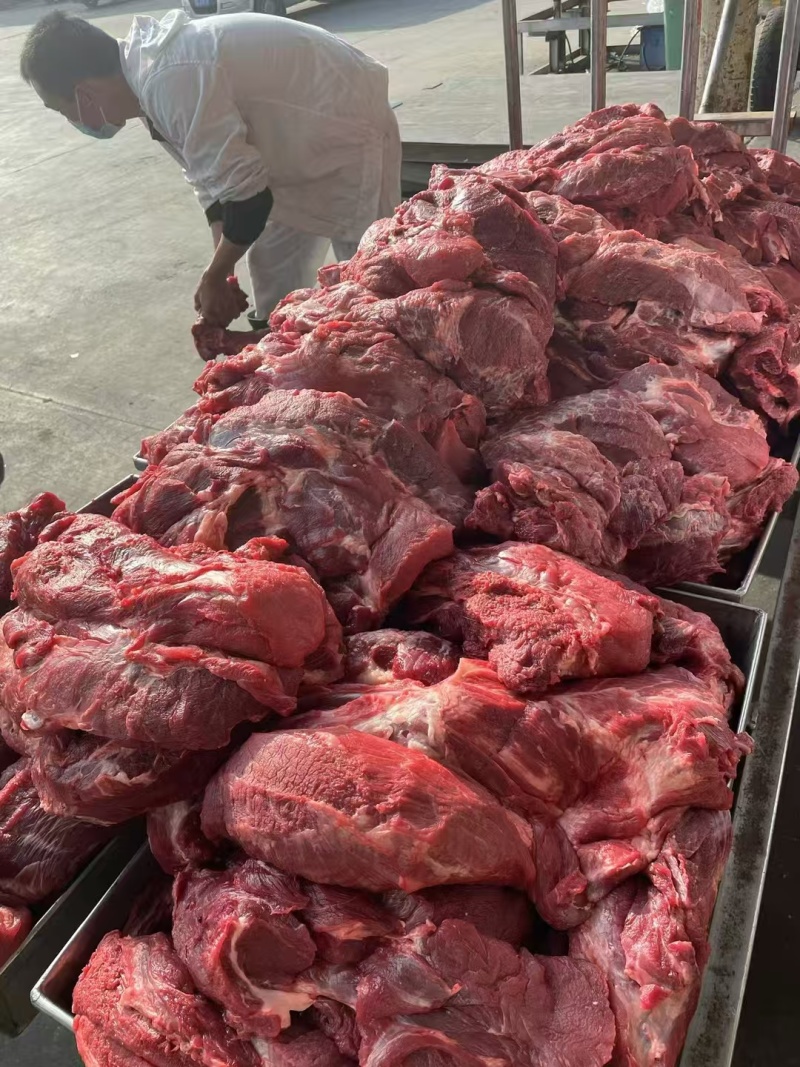 新鲜.精品纯干无水腱子肉牛肉雪花肉牛腱子前后腿精瘦肉