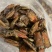 干水嫩九香虫嫩臭屁虫用于泡酒用于做菜