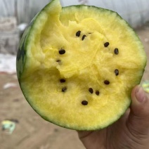 【推荐】江苏特小凤西瓜量大从优大量上市现摘现发对接商超团