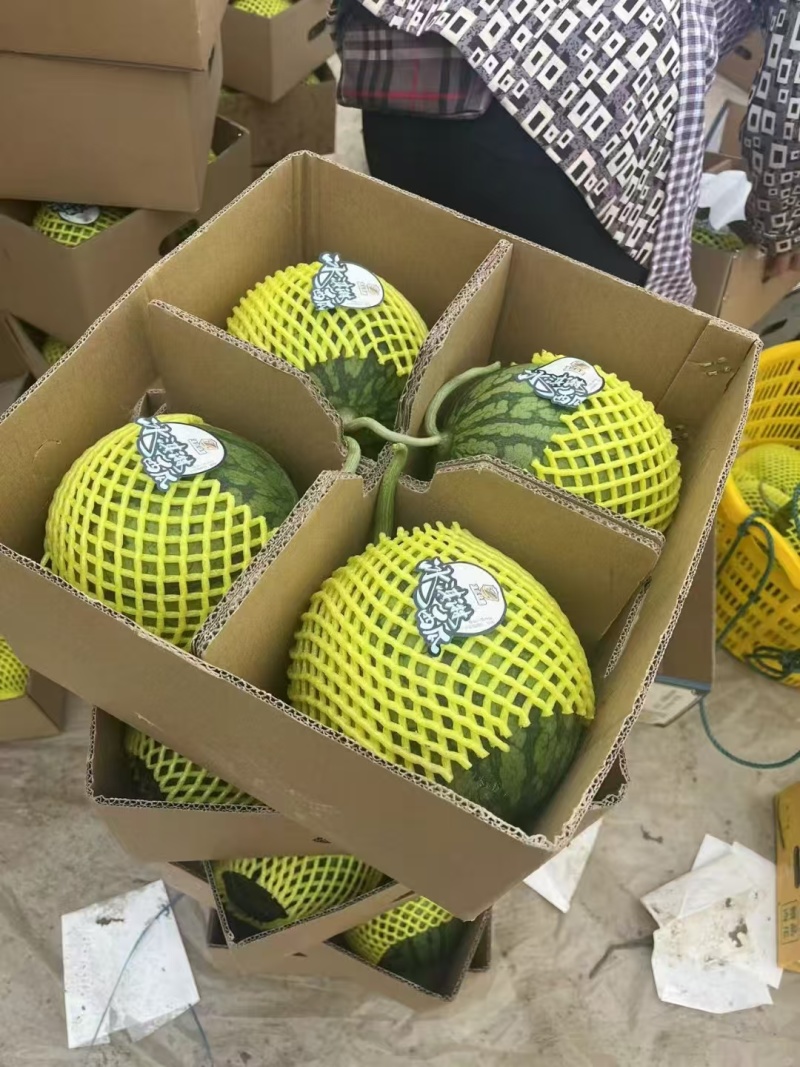 【推荐】江苏特小凤西瓜量大从优大量上市现摘现发对接商超团