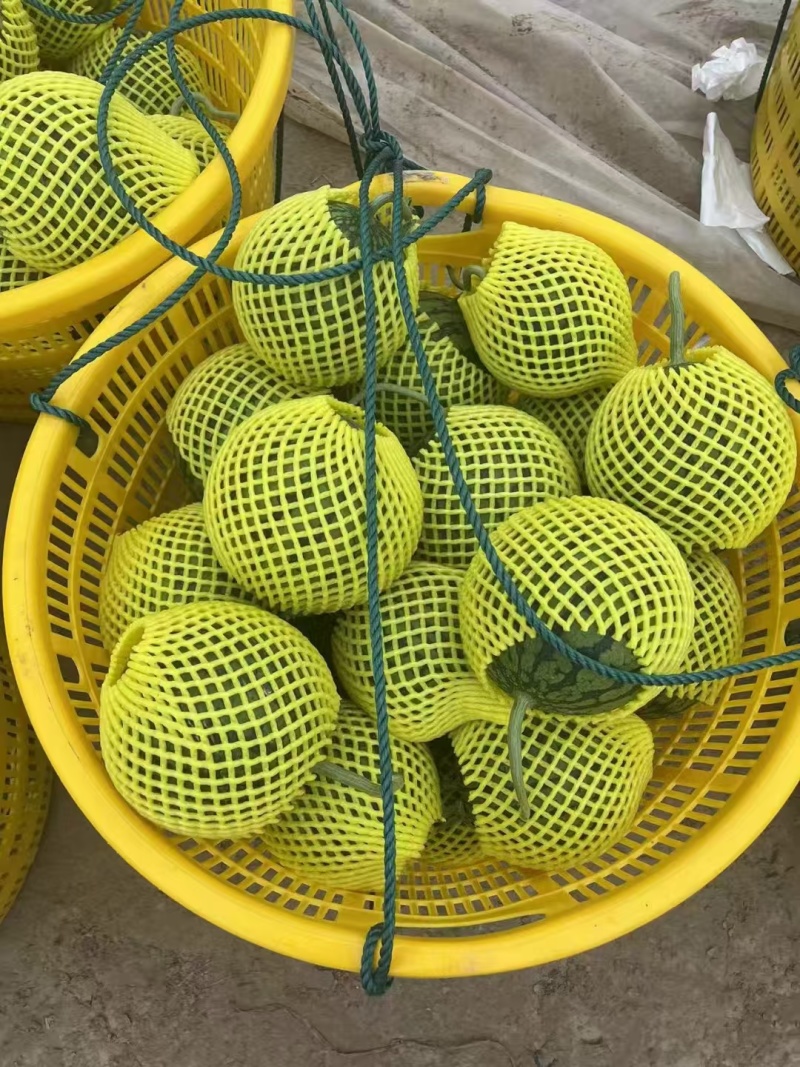 【推荐】江苏特小凤西瓜量大从优大量上市现摘现发对接商超团