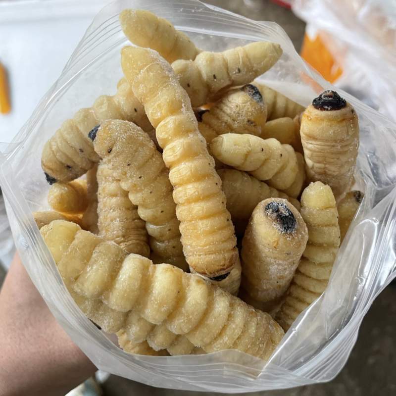 速冻干水大木虫冰鲜柴虫野生哈虫斗米虫葛藤虫批发零售柞木虫