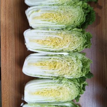 娃娃菜