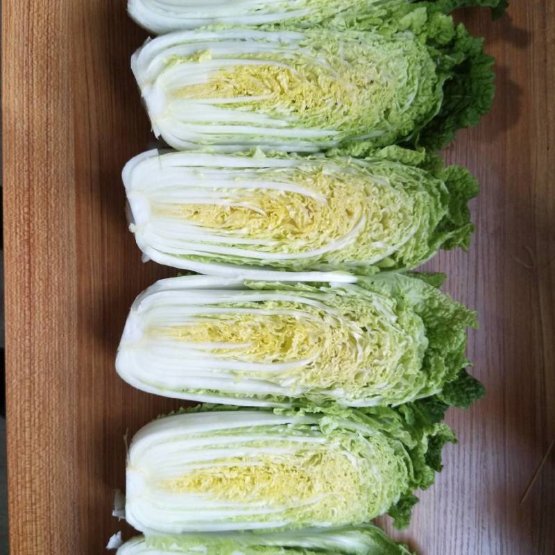 娃娃菜