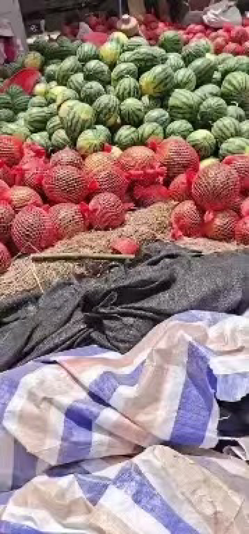 甜王西瓜大量有货价格美丽对接商超致电咨询