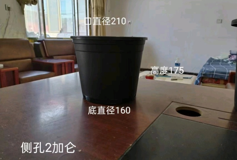推荐各种加仑盆黑色绿色都有规格齐全厂家直供全部批发