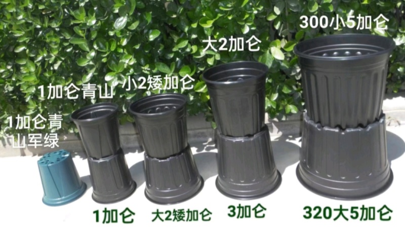 推荐各种加仑盆黑色绿色都有规格齐全厂家直供全部批发