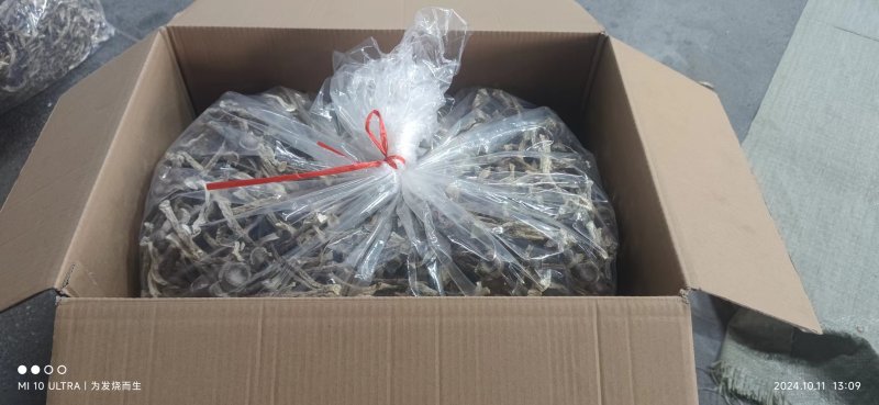 2025新货优质鹿茸菇批发菌汤包A级货嫩仔鹿茸