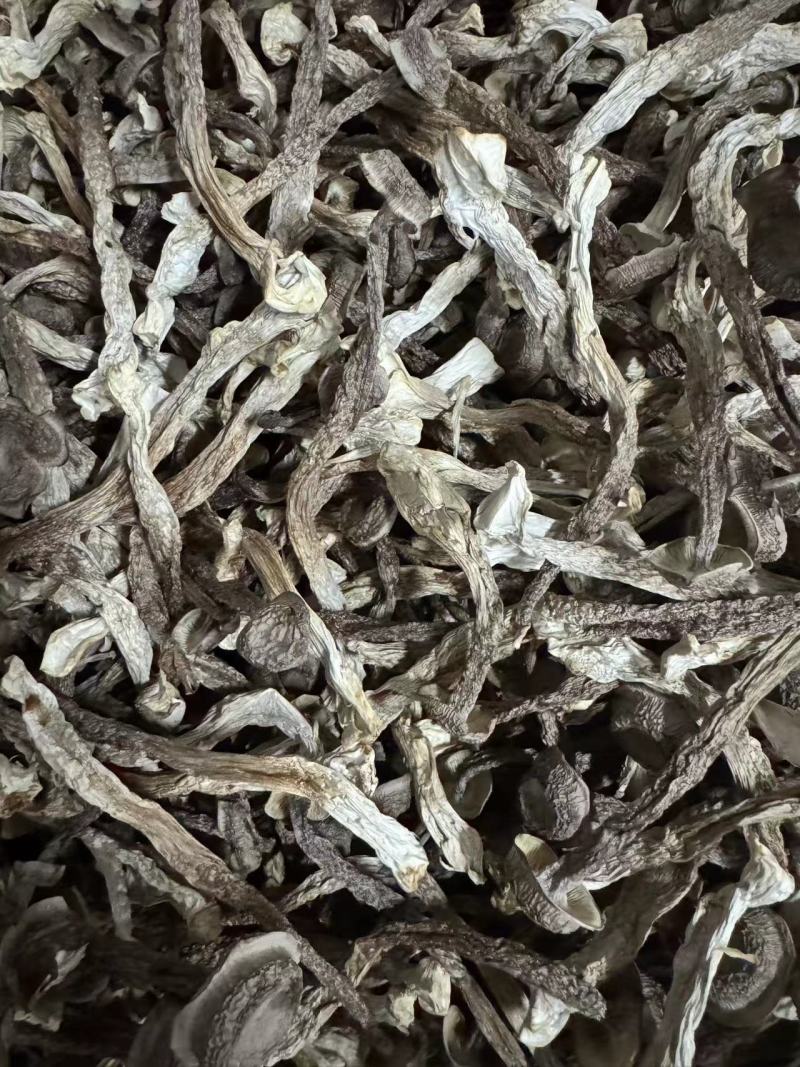 2025新货优质鹿茸菇批发菌汤包A级货嫩仔鹿茸