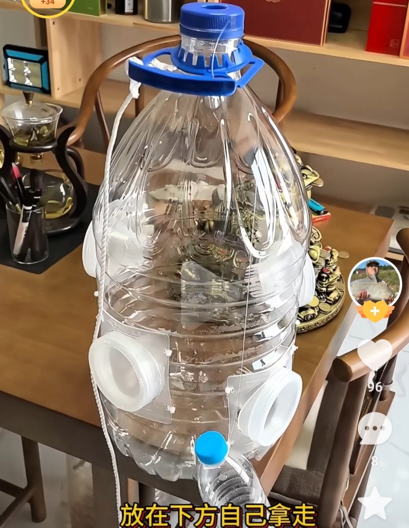 白鱼进鱼倒须