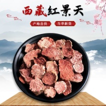 红景天精品红景天正品质量保证欢迎咨询选购各种中药材