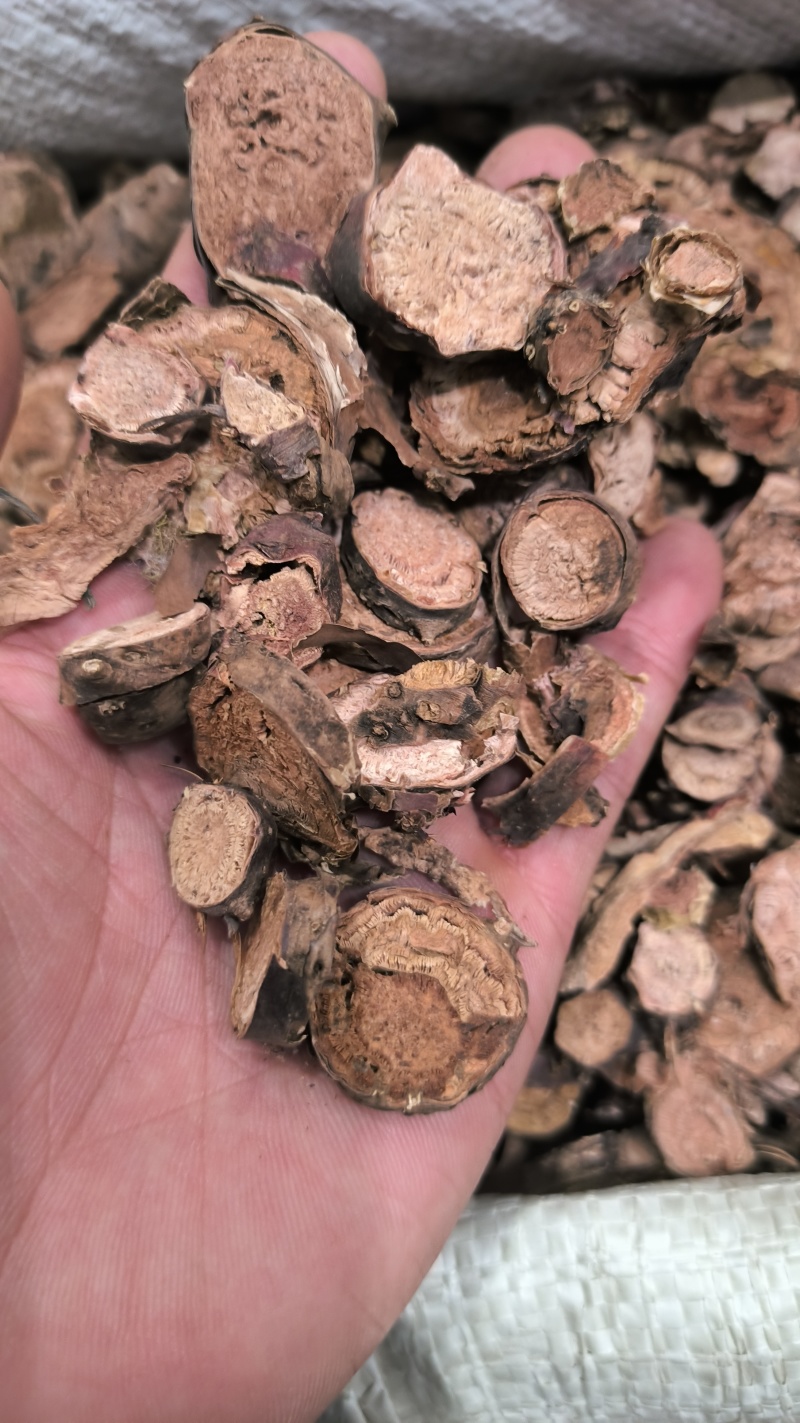 红景天2斤起批包邮量大电仪