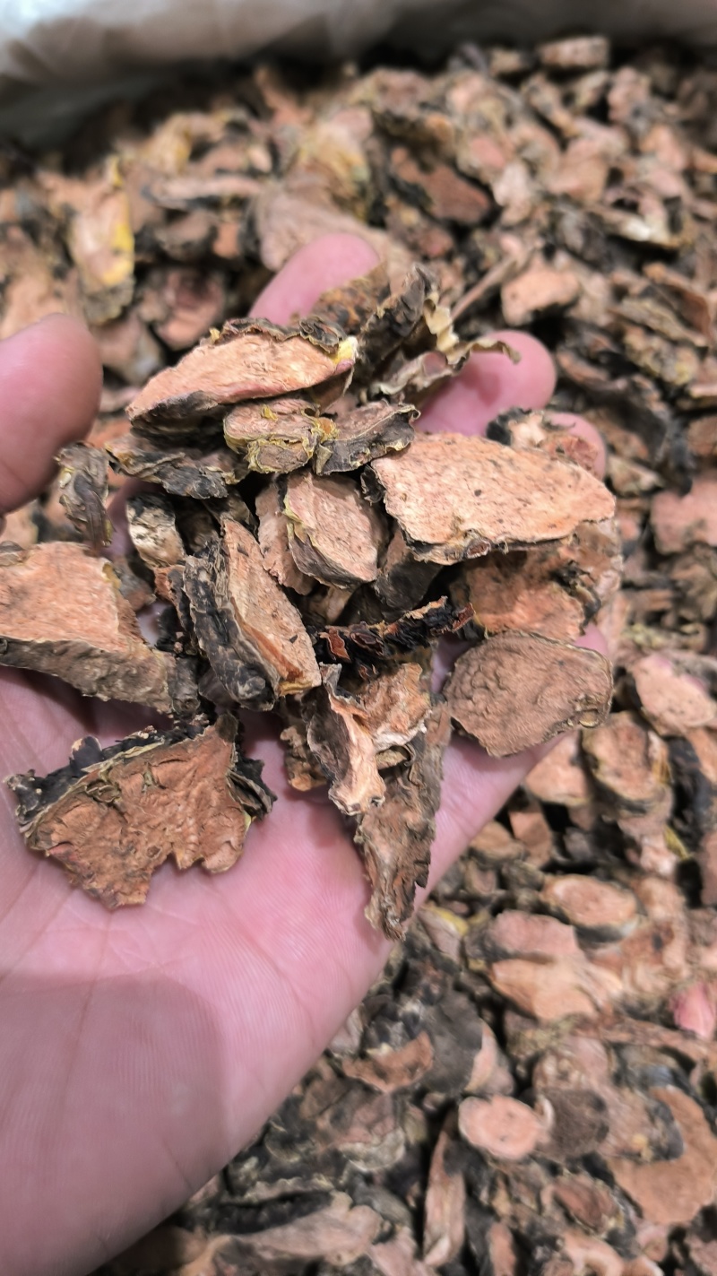 红景天2斤起批包邮量大电仪