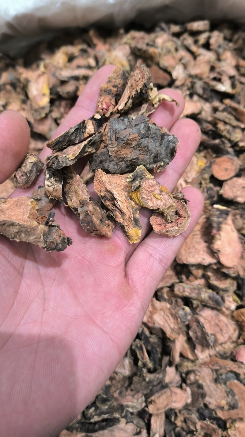 红景天2斤起批包邮量大电仪