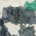 山东半干海带头，盐渍海带头，20～25公分精品头量大优惠