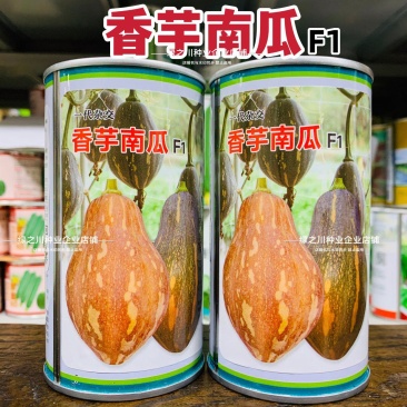 正宗香芋南瓜种子味甜可口粉质细腻香芋味浓高产杂交南瓜种籽
