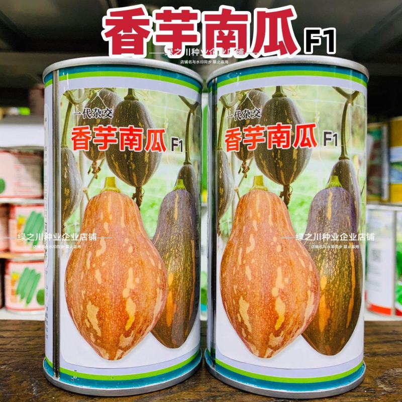 正宗香芋南瓜种子味甜可口粉质细腻香芋味浓高产杂交南瓜种籽