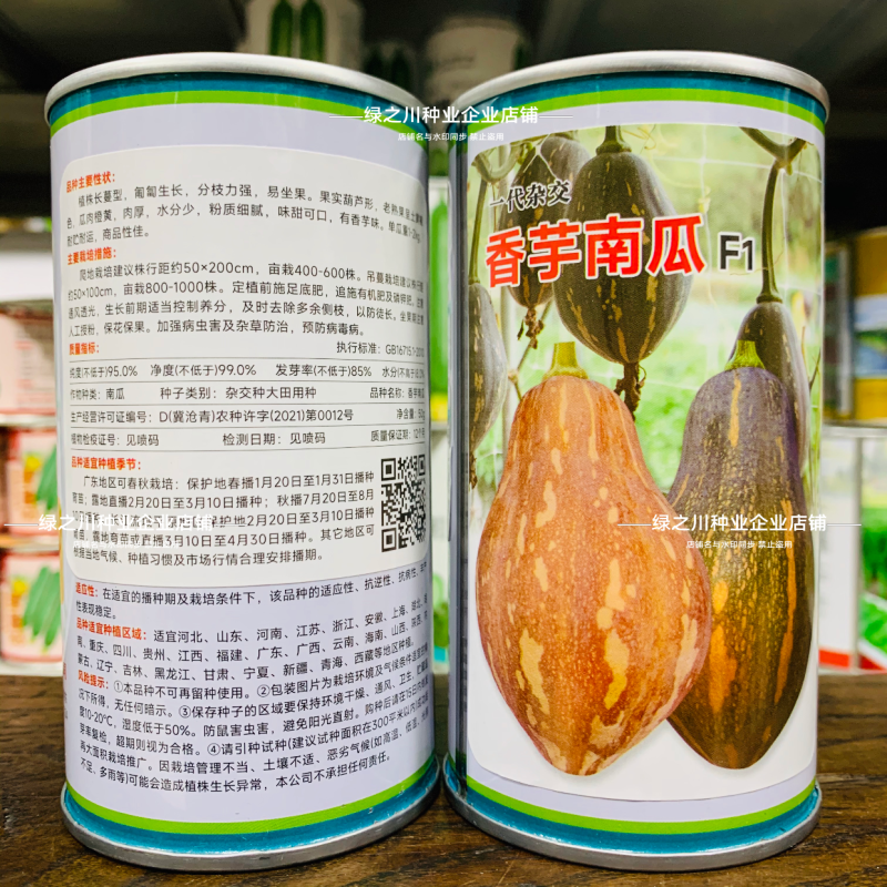 正宗香芋南瓜种子味甜可口粉质细腻香芋味浓高产杂交南瓜种籽