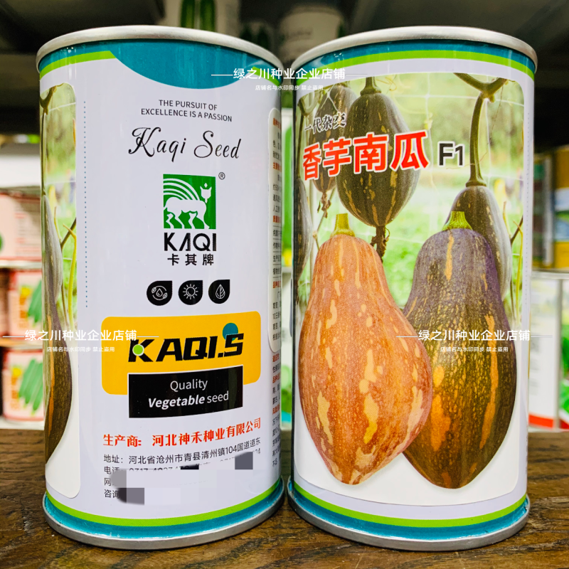 正宗香芋南瓜种子味甜可口粉质细腻香芋味浓高产杂交南瓜种籽