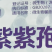 淡紫紫孢菌微生物菌剂根结线虫有益菌促根护根
