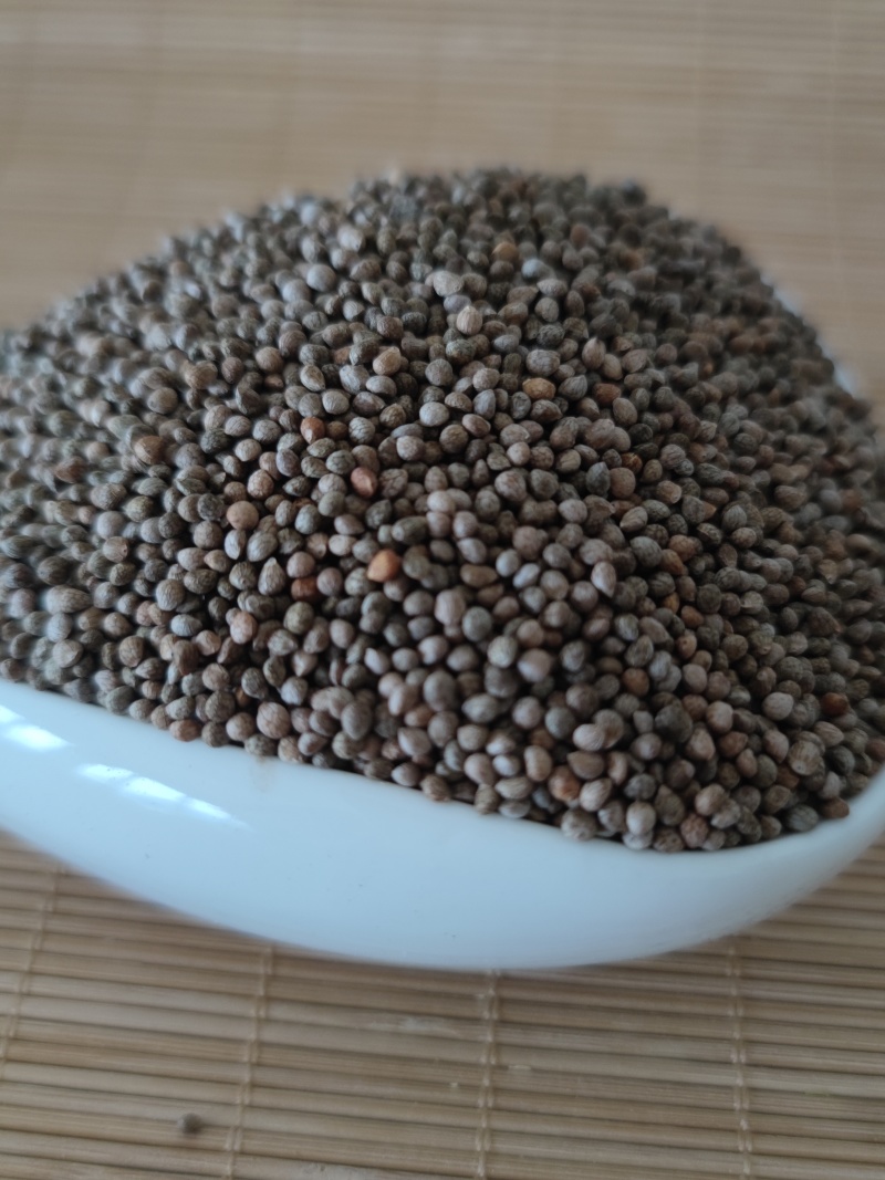 紫苏子苏子中药材批发零售质量保证