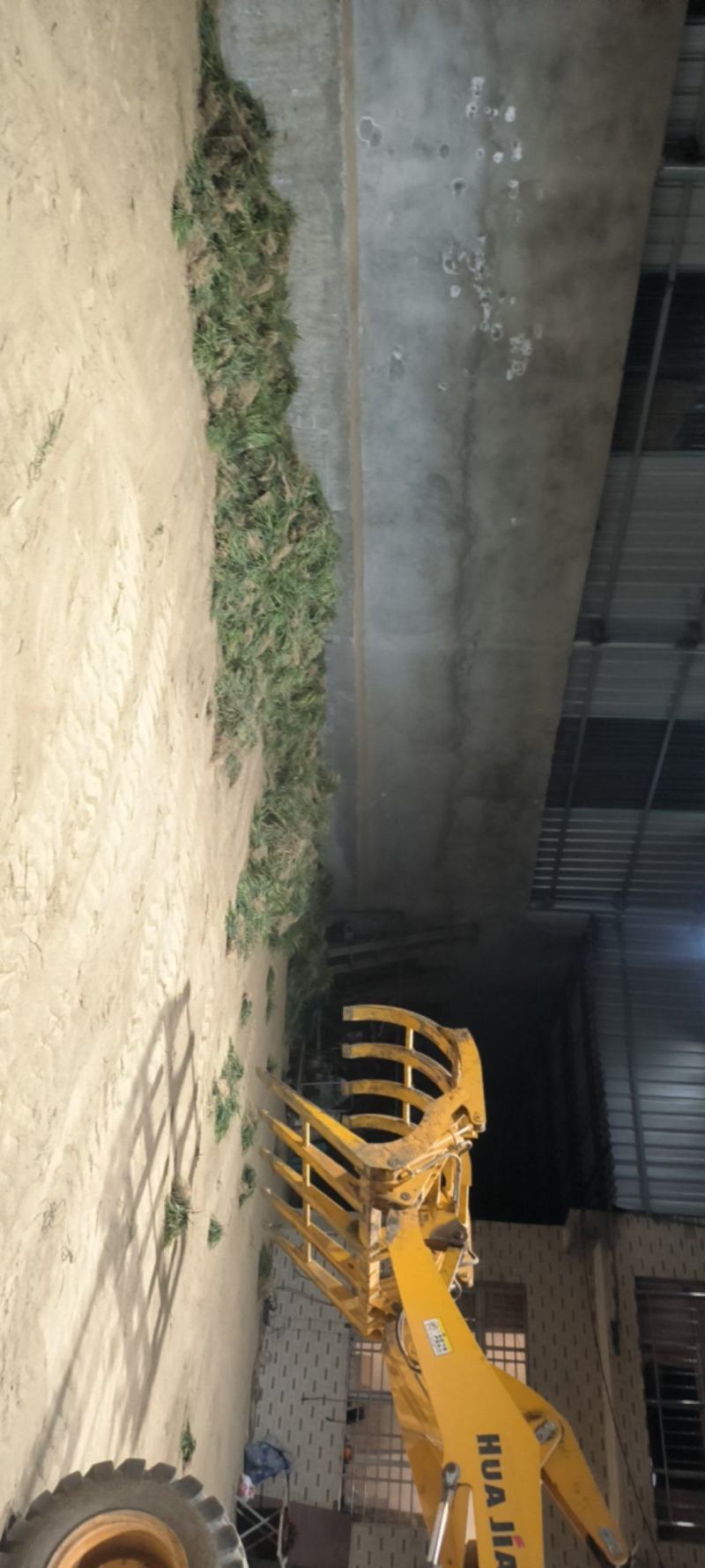 摘果无土麦冬草