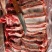 牛肉牛肋条肉牛腩胸腩连体带检疫手续一件起发质量好