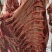 牛肉牛肋条肉牛腩胸腩连体带检疫手续一件起发质量好