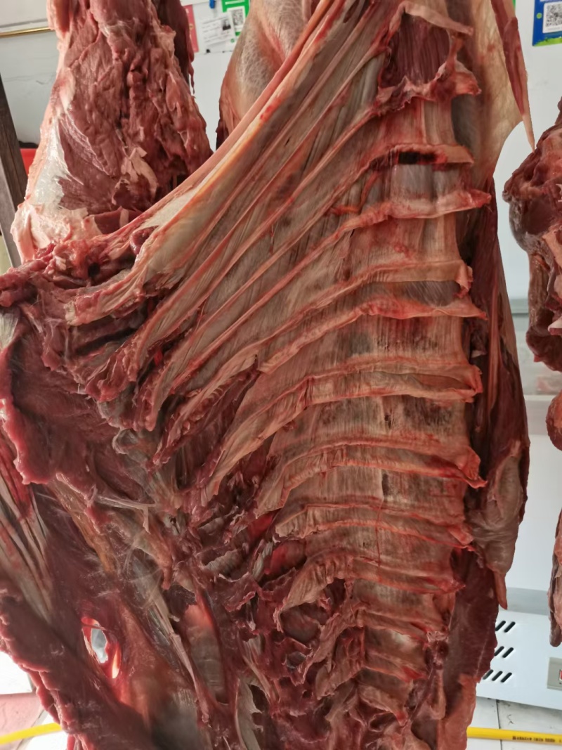 牛肉牛肋条肉牛腩胸腩连体带检疫手续一件起发质量好