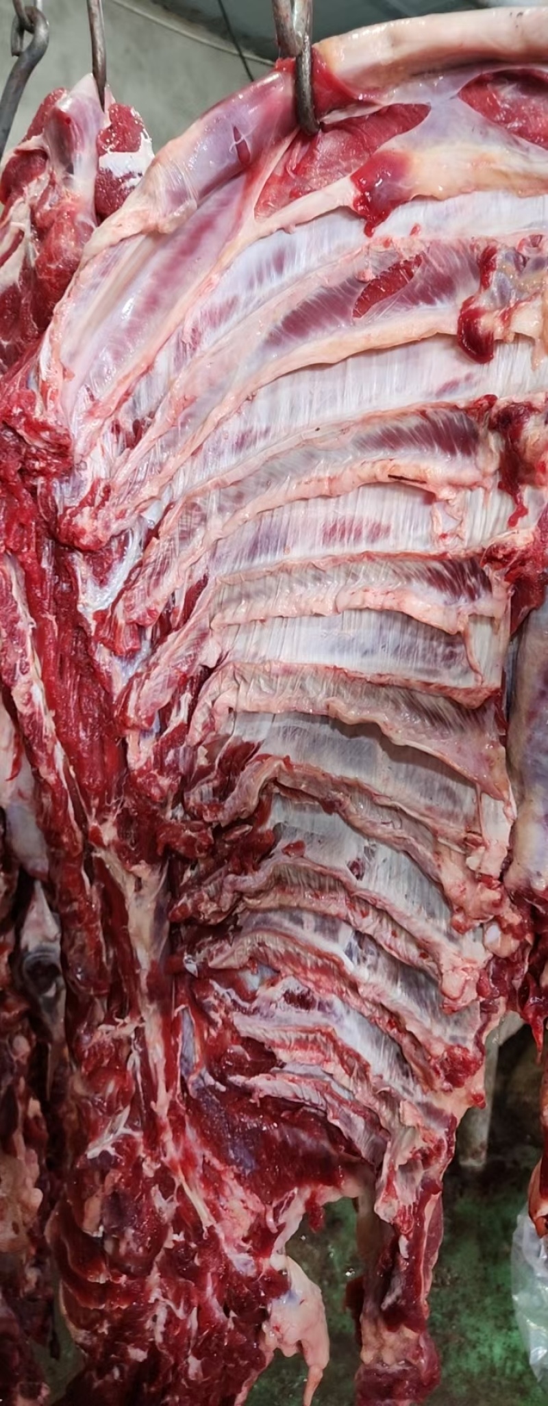 牛肉牛肋条肉牛腩胸腩连体带检疫手续一件起发质量好