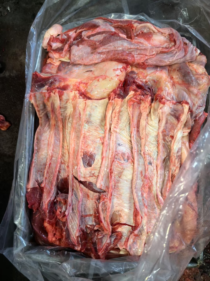 牛肉牛肋条肉牛腩胸腩连体带检疫手续一件起发质量好