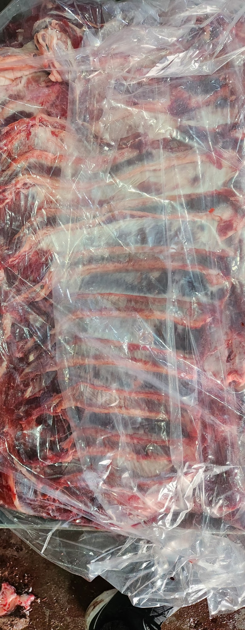 牛肉牛肋条肉牛腩胸腩连体带检疫手续一件起发质量好