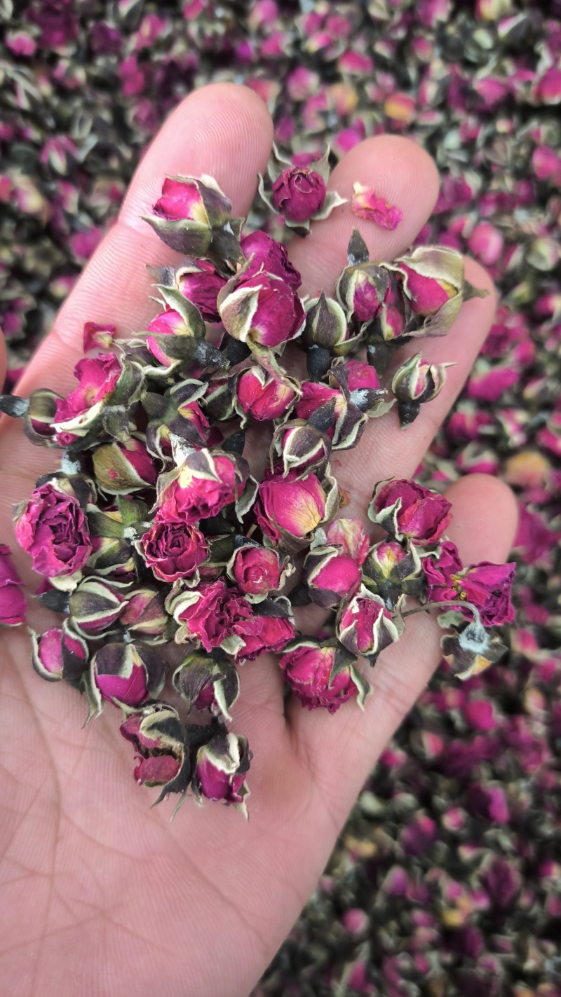 金边玫瑰玫瑰花无硫质量保证批发零售各种中药材农副产品