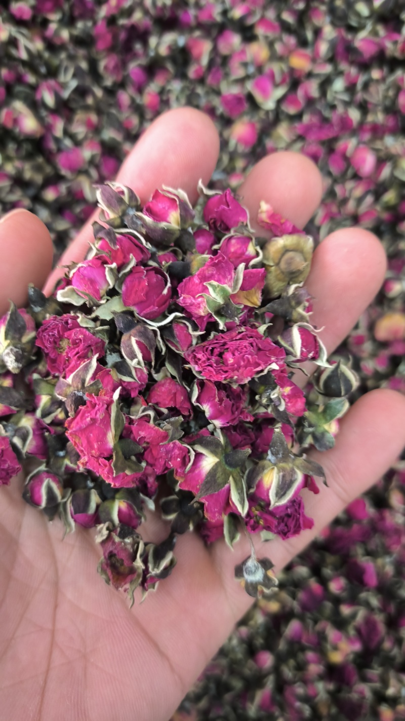 金边玫瑰玫瑰花无硫质量保证批发零售各种中药材农副产品