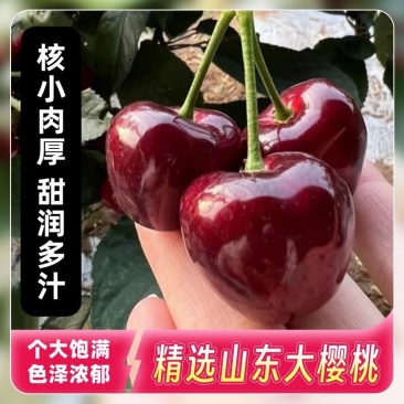山东大樱桃大量上市，接电商一件代发，产地直发，量大价优