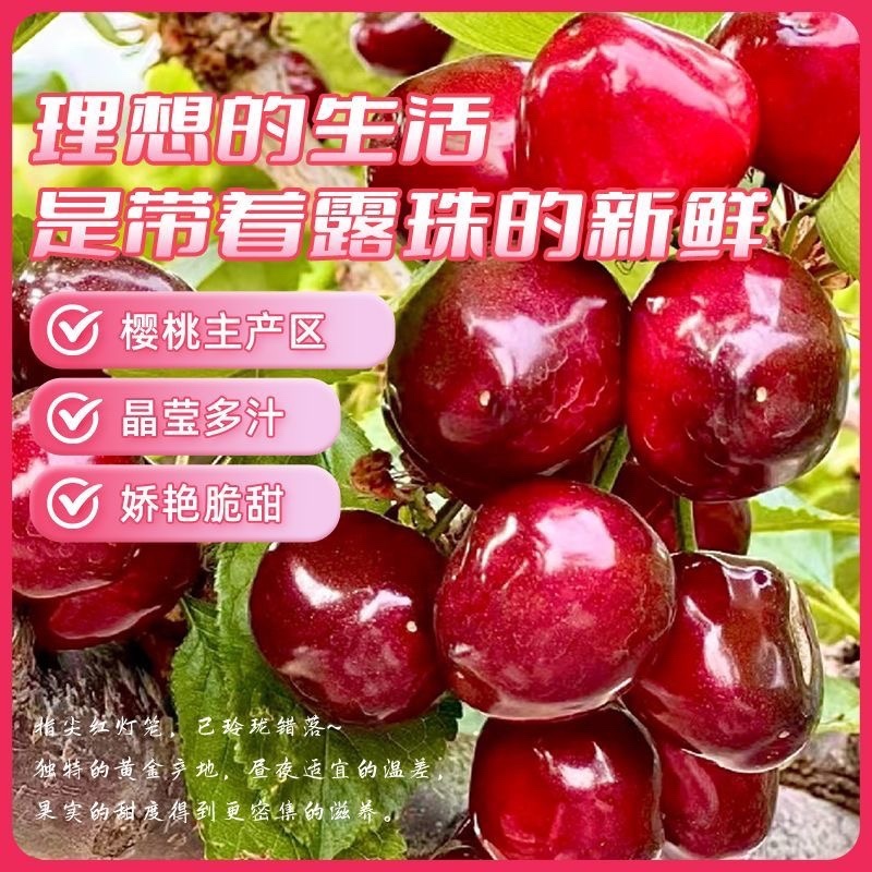 山东大樱桃大量上市，接电商一件代发，产地直发，量大价优