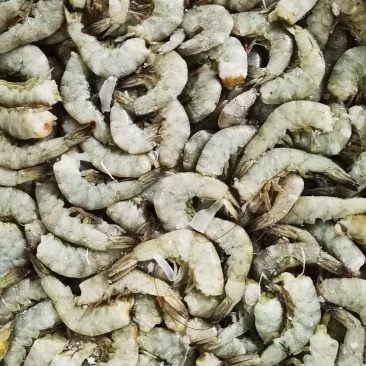 对虾尾，南美白对虾