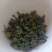 安溪高山正味手工清香型兰花香做熟做透回甘生津铁观音