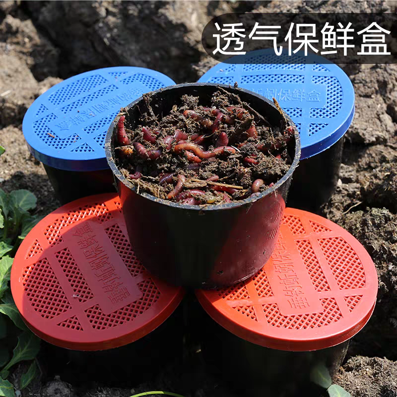 2025春季蚯蚓种钓鱼饵料红蚯蚓纯牛粪喂养可加工小何