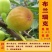 布兰瑞克无花果树苗，耐寒强，口感风味香甜，果实上等