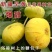 早黄无花果树苗，早熟品种，糖包子，新疆一种无花果