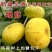 早黄无花果树苗，早熟品种，糖包子，新疆一种无花果